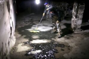 Comment éliminer la mérule des murs en pierre : guide complet