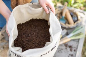 Avis terreau Lidl : bon plan ou arnaque pour vos plantes ?