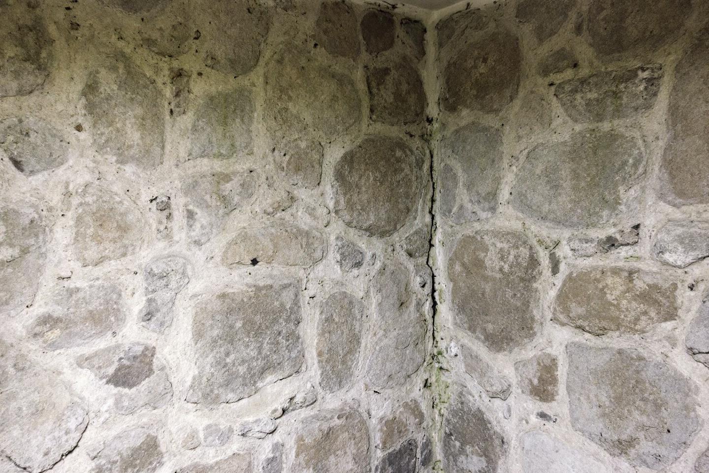 Traiter et prévenir la mérule sur mur en pierre : guide complet